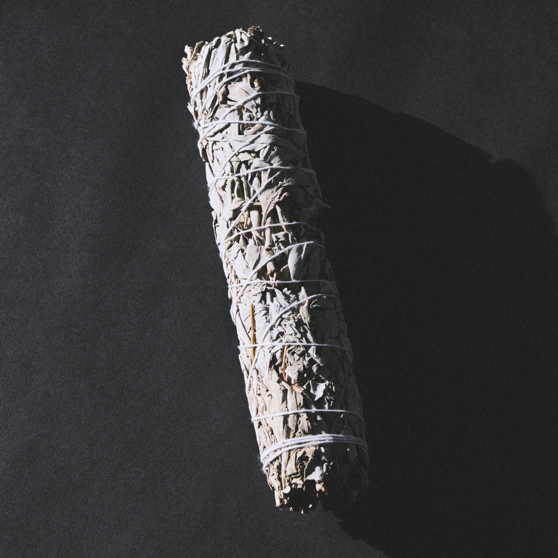 where to buy white sage